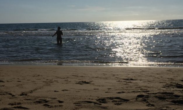 La Poseidonia per ripristinare gli ecosistemi marini