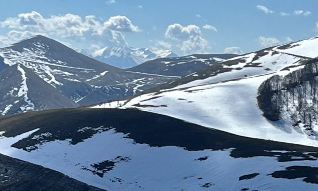Per la biodiversità degli ambienti glaciali