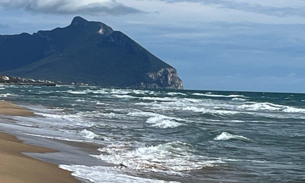 Il numero verde per difendere il mare
