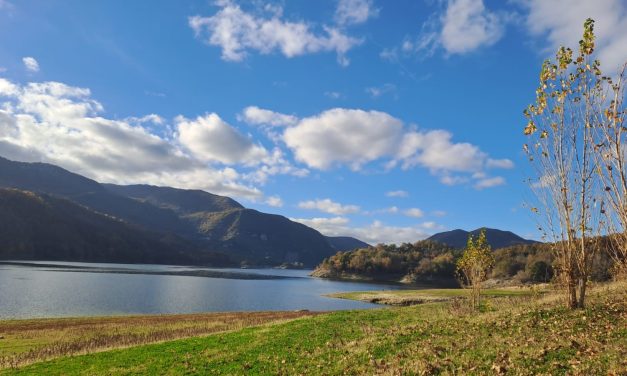 La giornata nazionale dedicata agli alberi