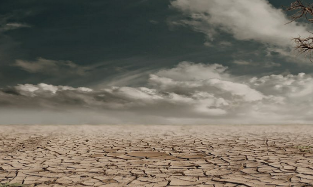 Salute e cambiamenti climatici. I nostri timori