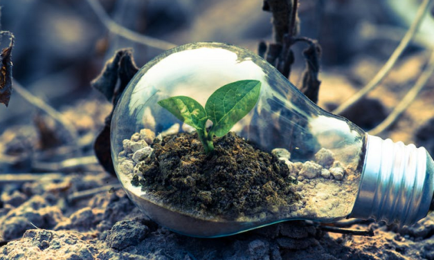 Settore finanziario e green economy