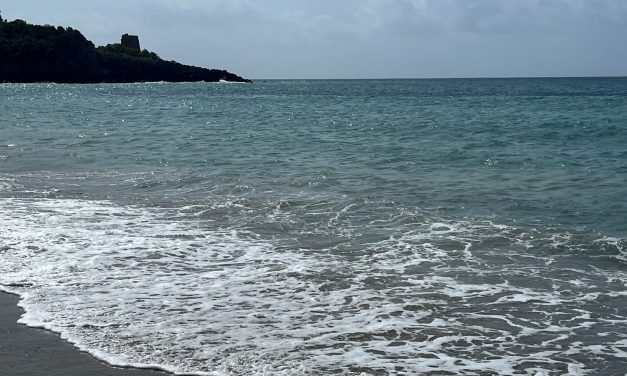 Ambienti marini. L’attività di Ispra per gli habitat