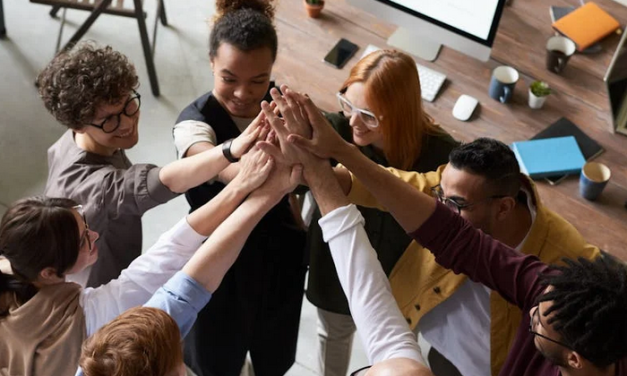 Diversity Equity and Inclusion. Solo il 6% la sviluppa