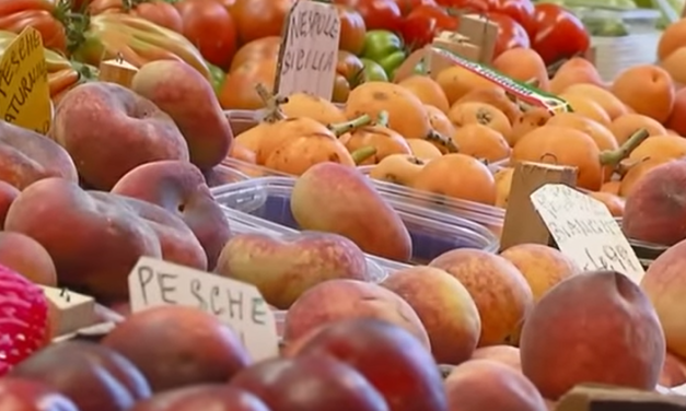 Il consumo domestico è la prima causa dello spreco alimentare. Come ridurlo