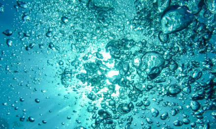 Ecco il Biochar che abbatte nitrati e fosfati