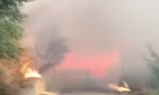 Le aree italiane più colpite dagli incendi nel 2023