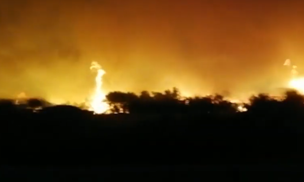 Fare prevenzione e monitorare gli incendi