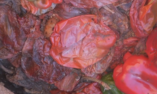 Lo spreco alimentare in Italia cresce sempre di più