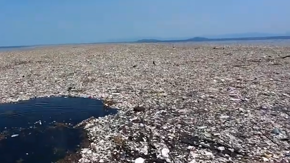Plastica riciclata. L’Ue punta al 25% della domanda entro il 2030