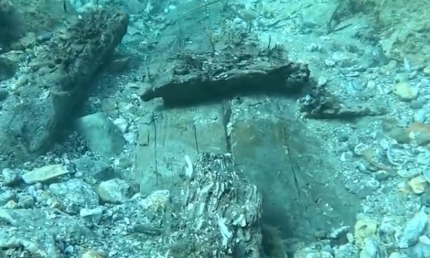 Relitto arcaico riemerge dai fondali del ragusano