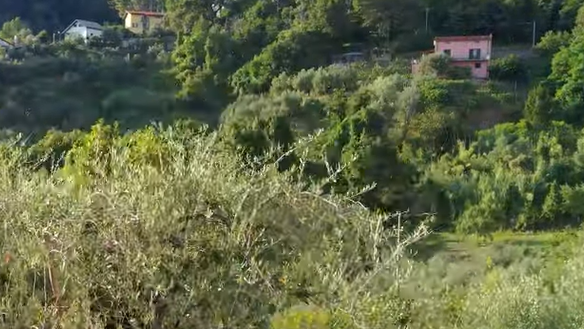 Viaggi autentici. Cresce l’interesse per i B&B