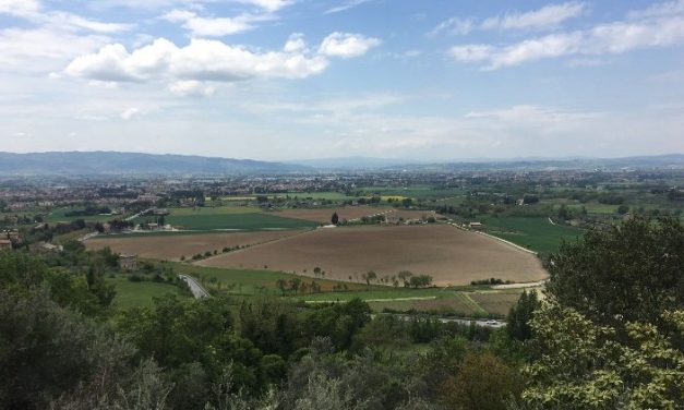 Le aree verdi in città sono fondamentali