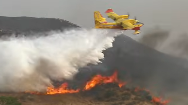 Incendi boschivi. Già in fiamme 34 chilometri quadrati