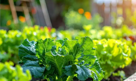 Un secolo di trasformazioni: l’Istat fotografa i cambiamenti dell’agricoltura italiana